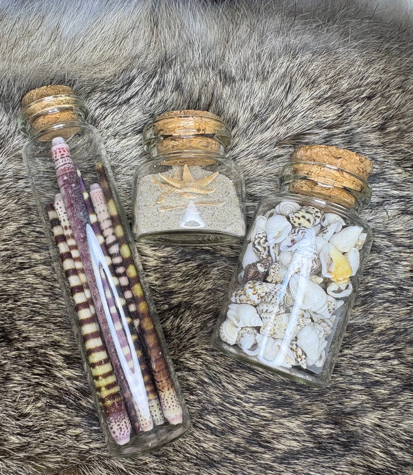 Sea Jar's