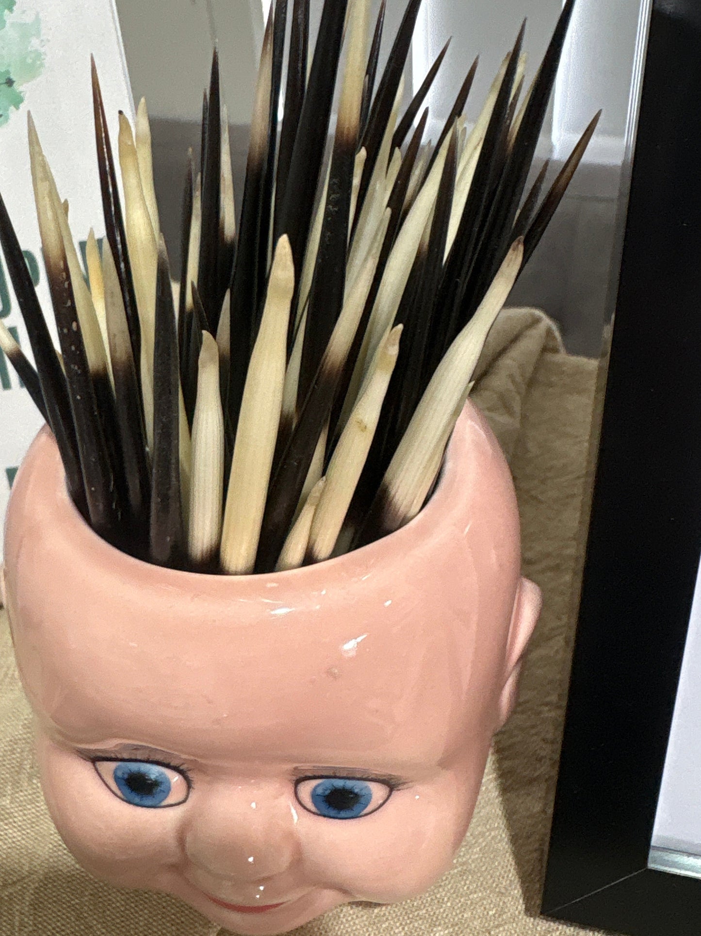 Porcupine Quill