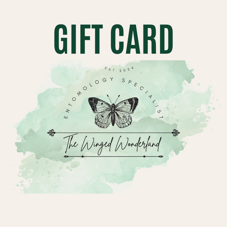The Winged Wonderland Gift Card