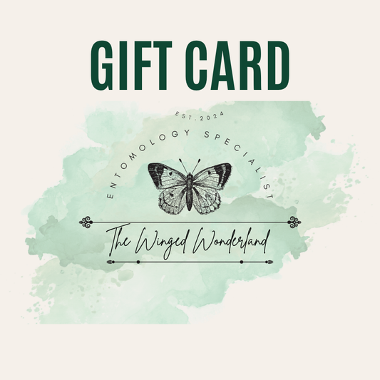 The Winged Wonderland Gift Card