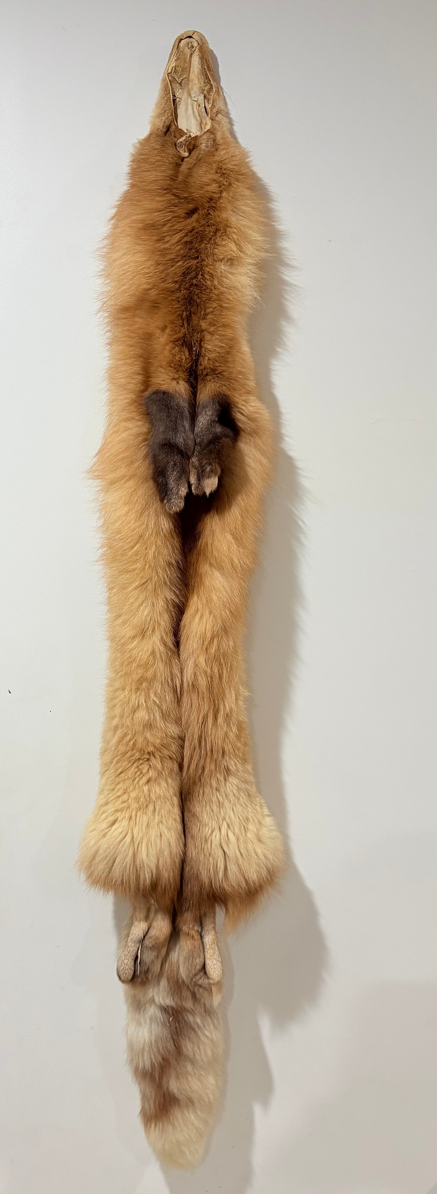 Fox Pelt