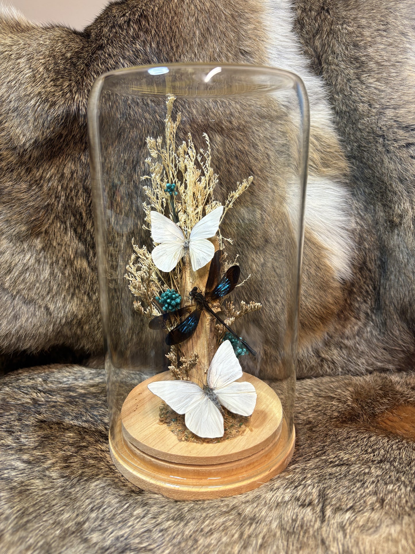 ✨ The Winged Wonderland Dome Display Workshop - Virginia ✨