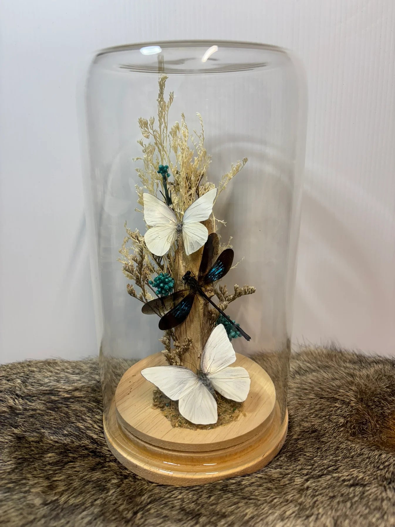 ✨ The Winged Wonderland Dome Display Workshop - Virginia ✨