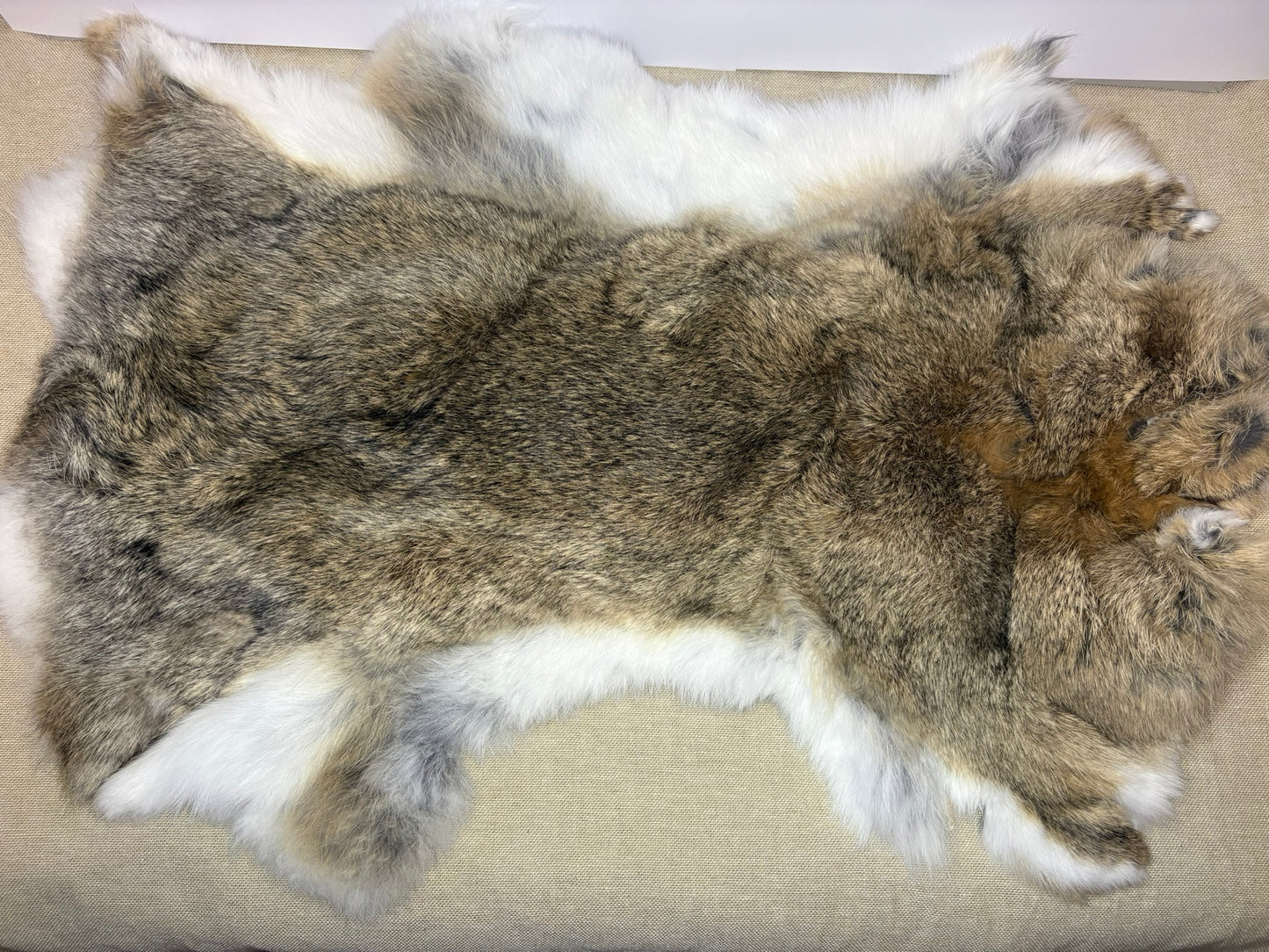 Rabbit Pelts