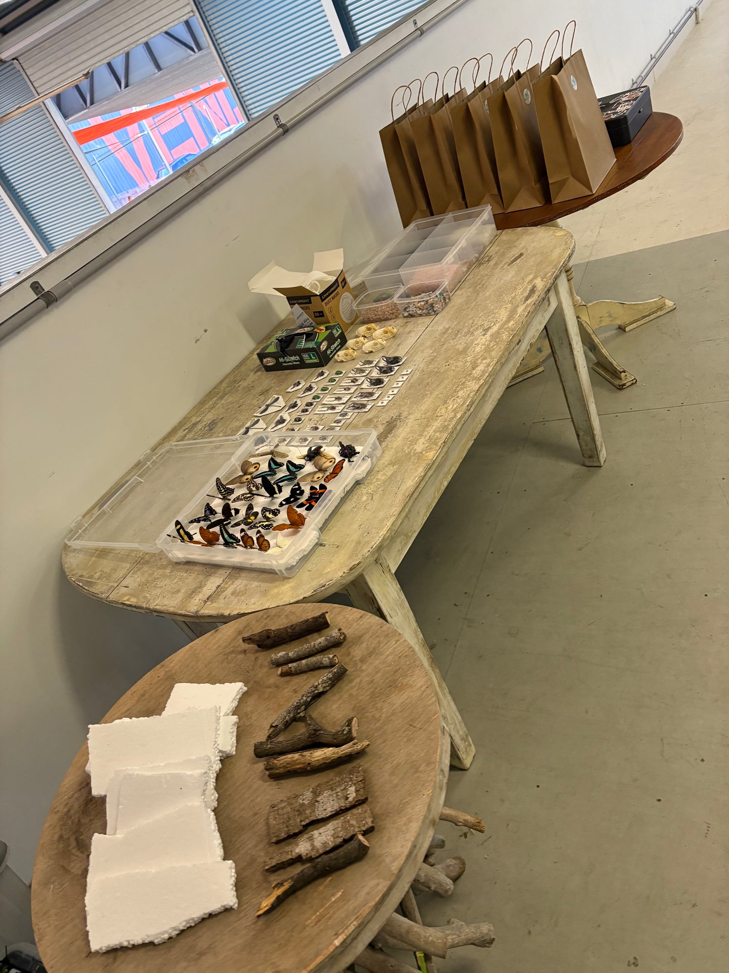 ✨ The Winged Wonderland Dome Display Workshop - Virginia ✨