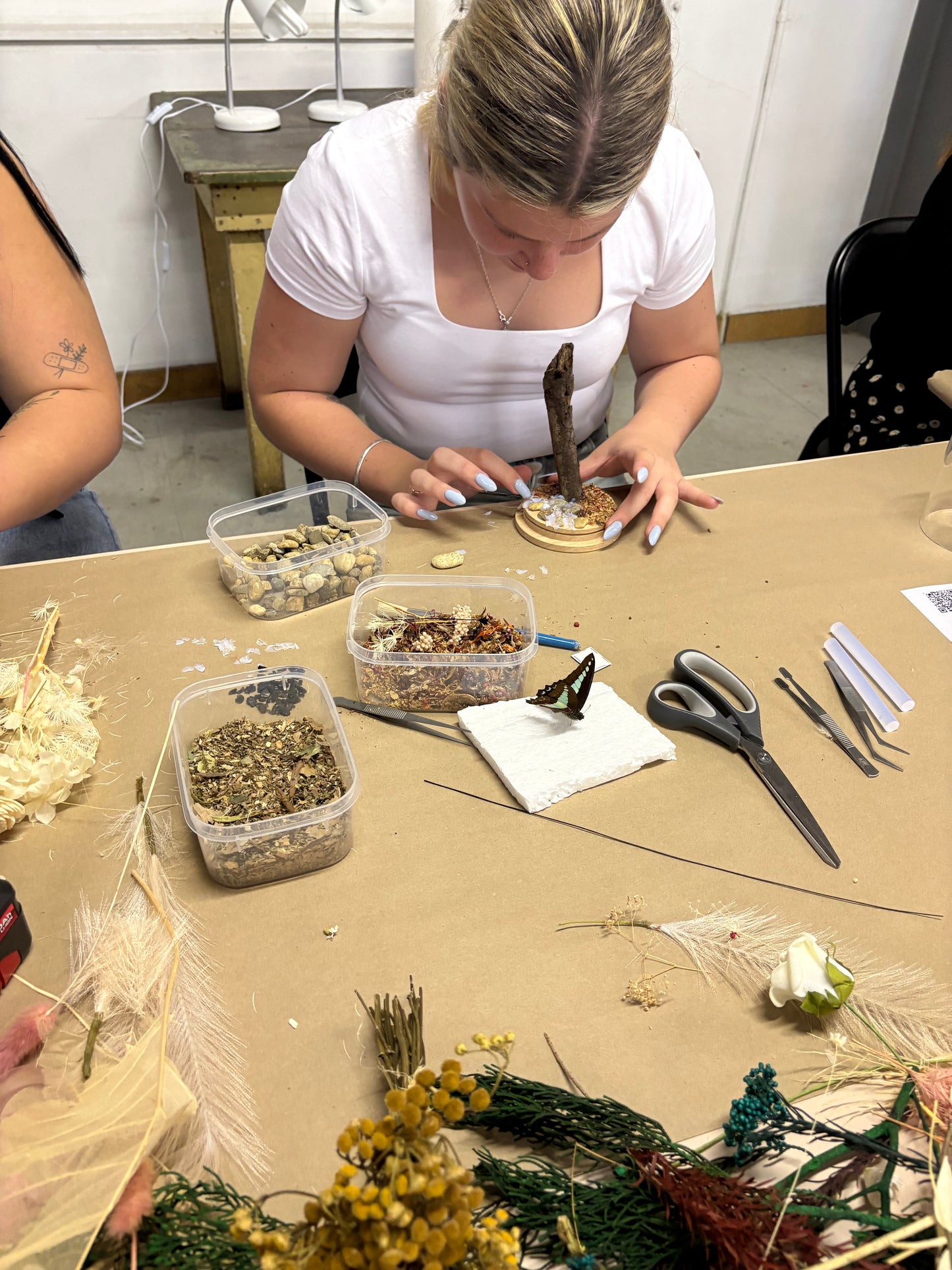 ✨ The Winged Wonderland Dome Display Workshop - Virginia ✨