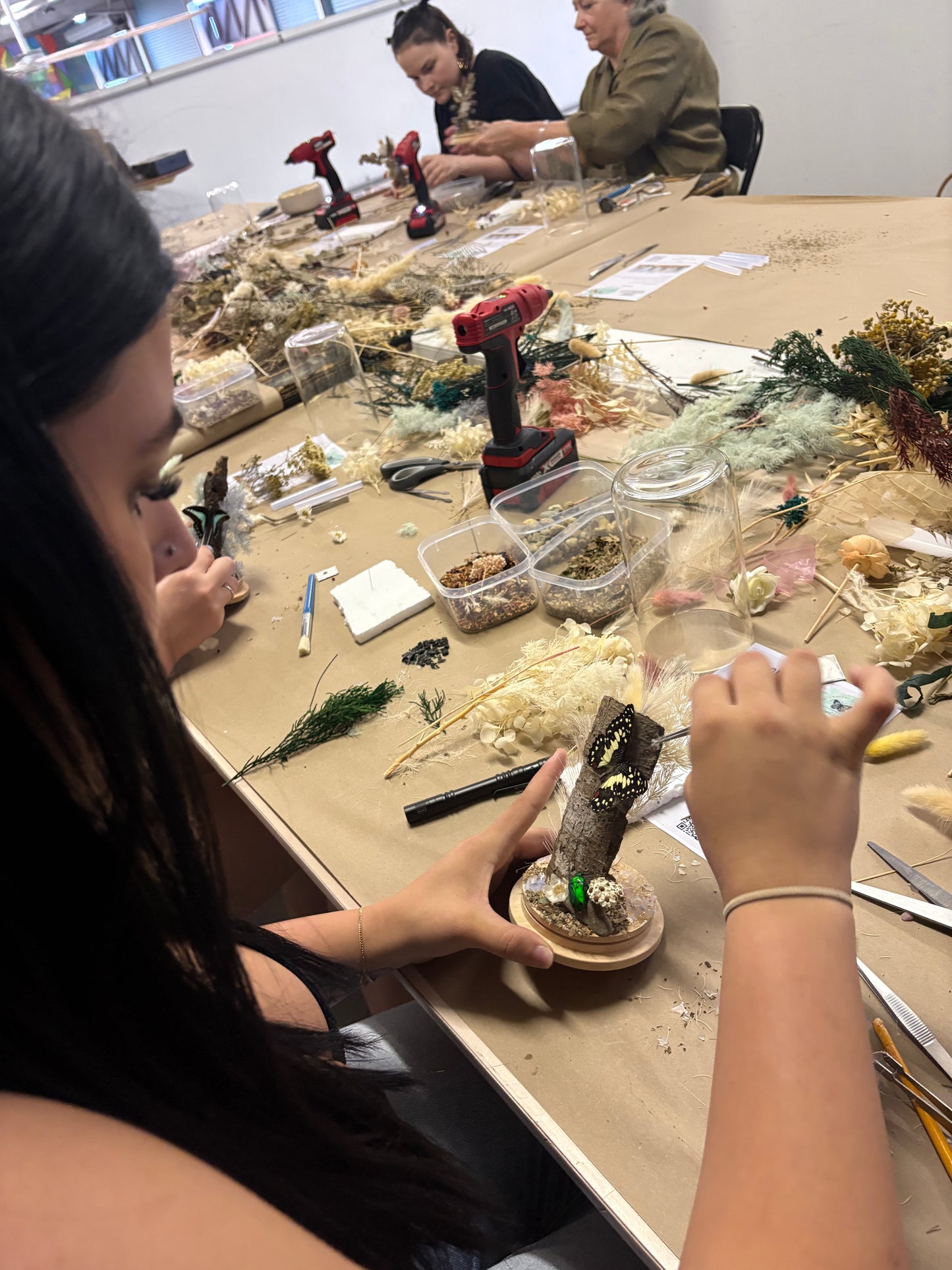 ✨ The Winged Wonderland Dome Display Workshop - Virginia ✨