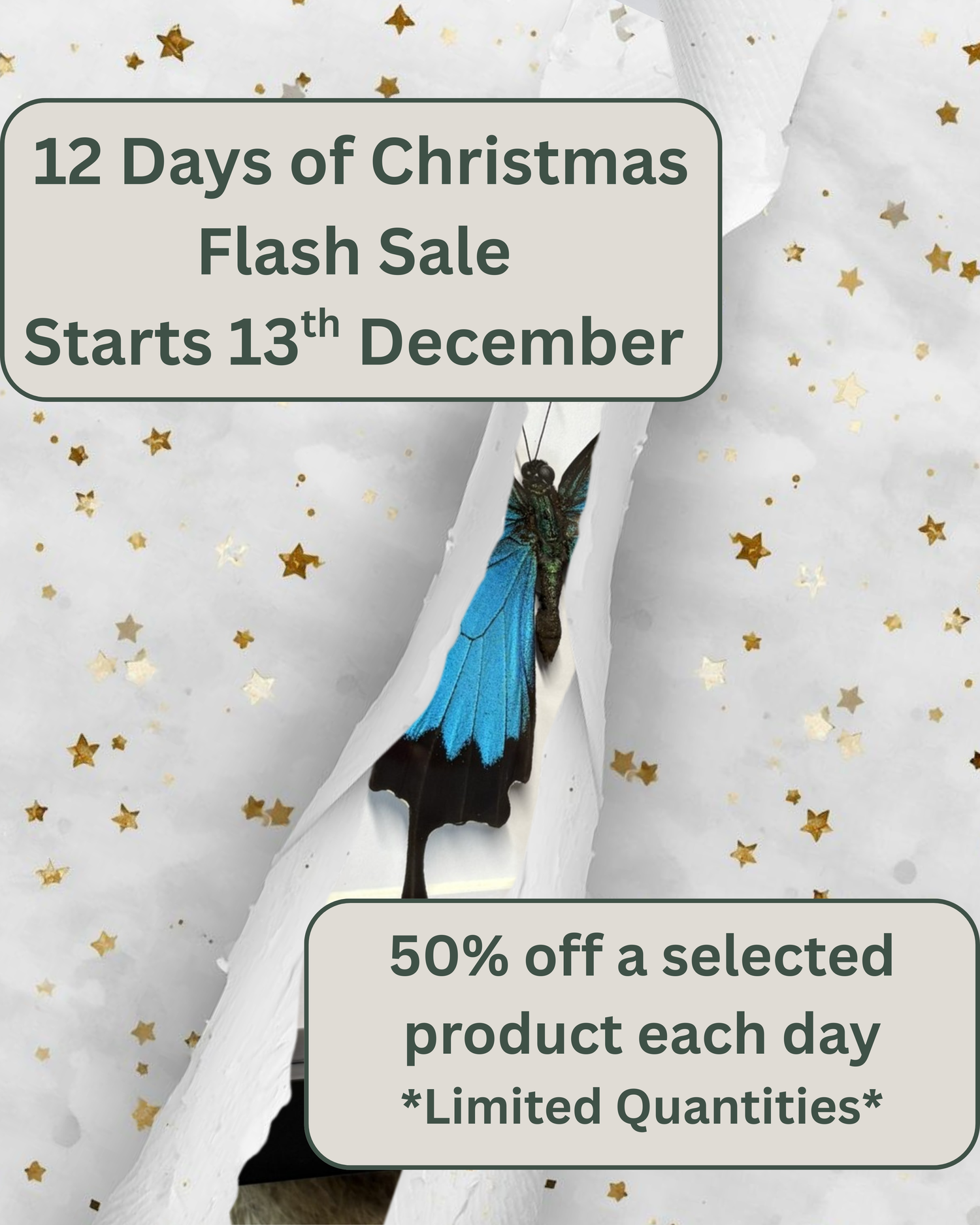 12 Days of Christmas - FLASH Sale