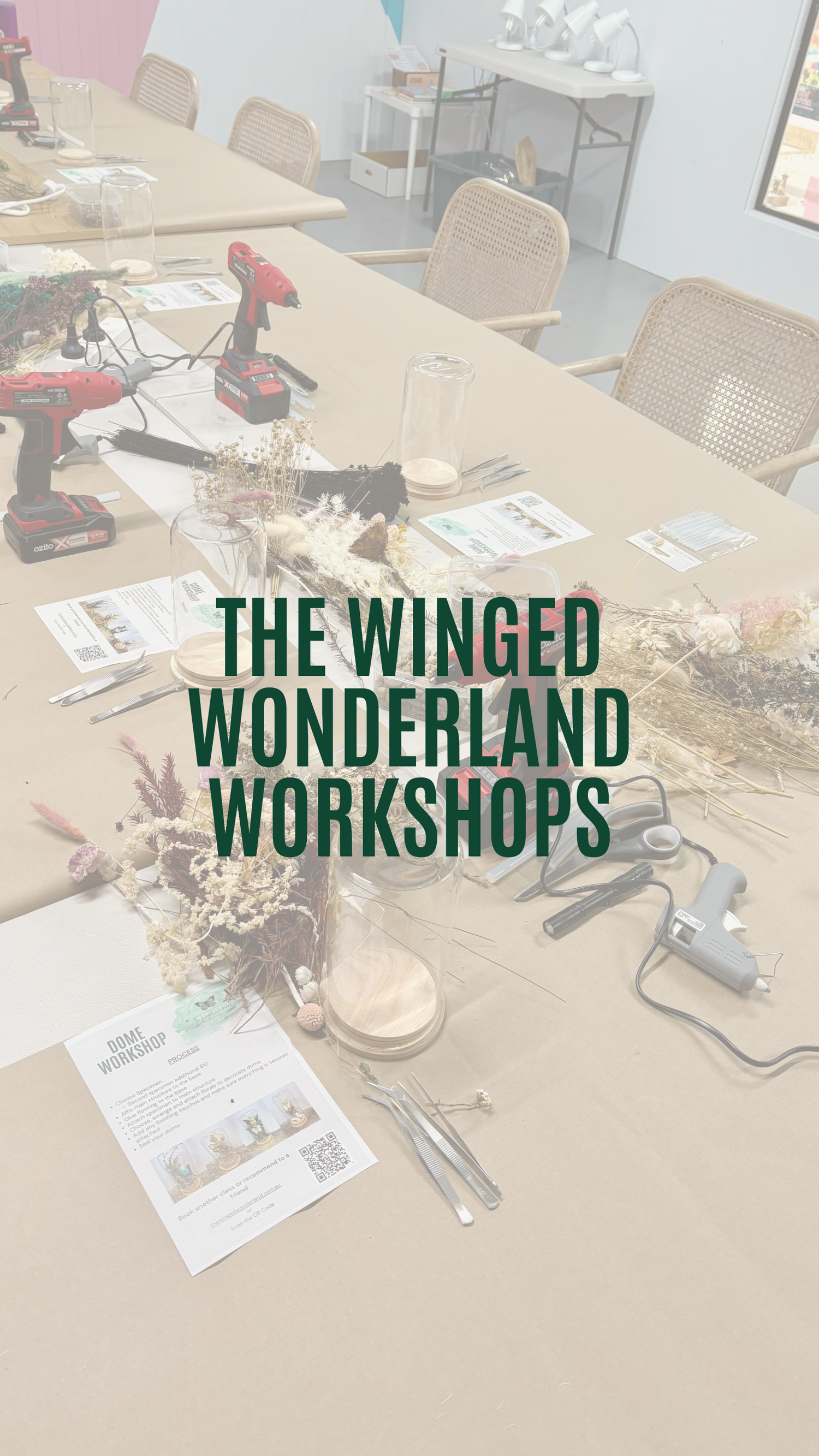 Workshops