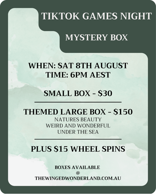 Themed Mystery Box Games night - TikTok