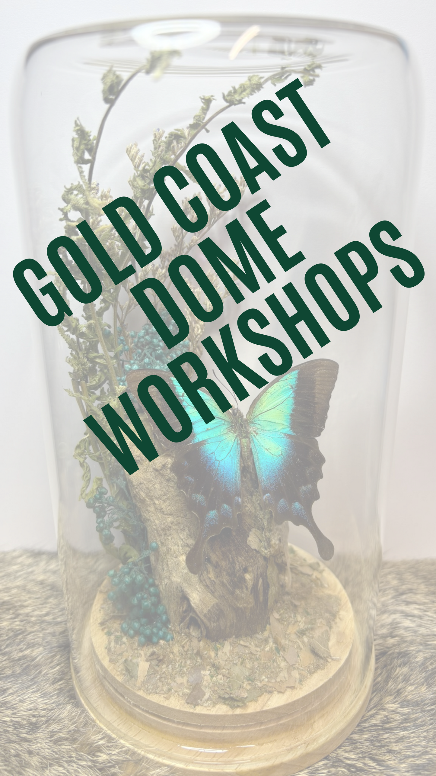 ✨ The Winged Wonderland Dome Display Workshop - Gold Coast ✨