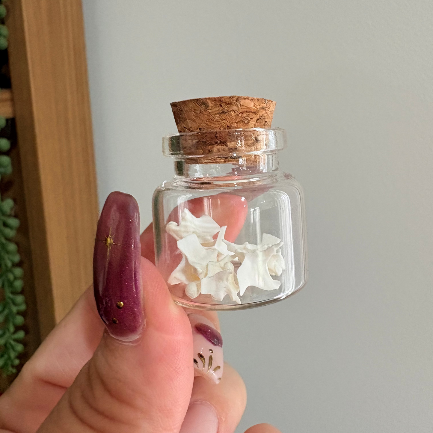Snake Vertebrae Jar