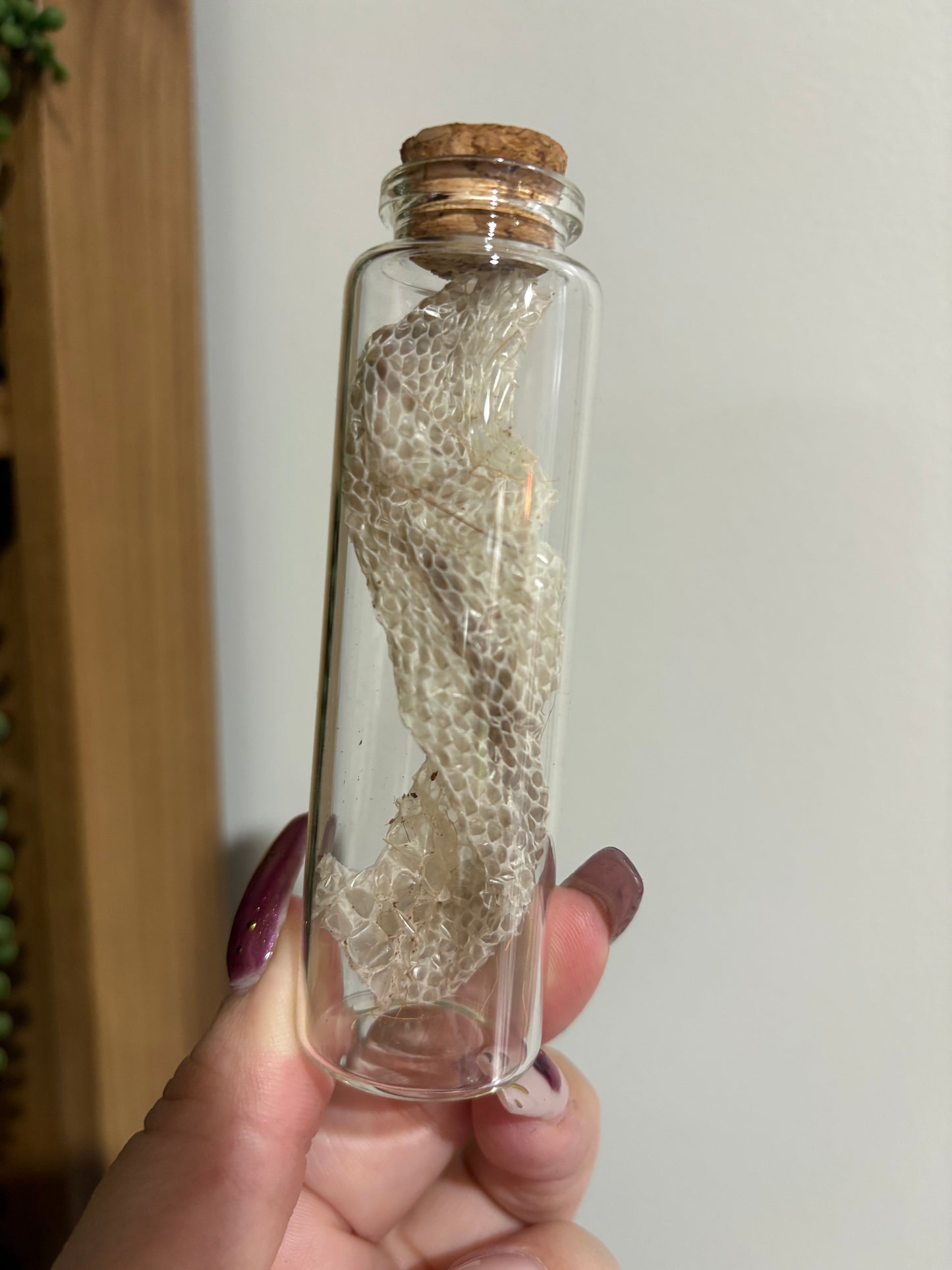 Snake Shed Jar