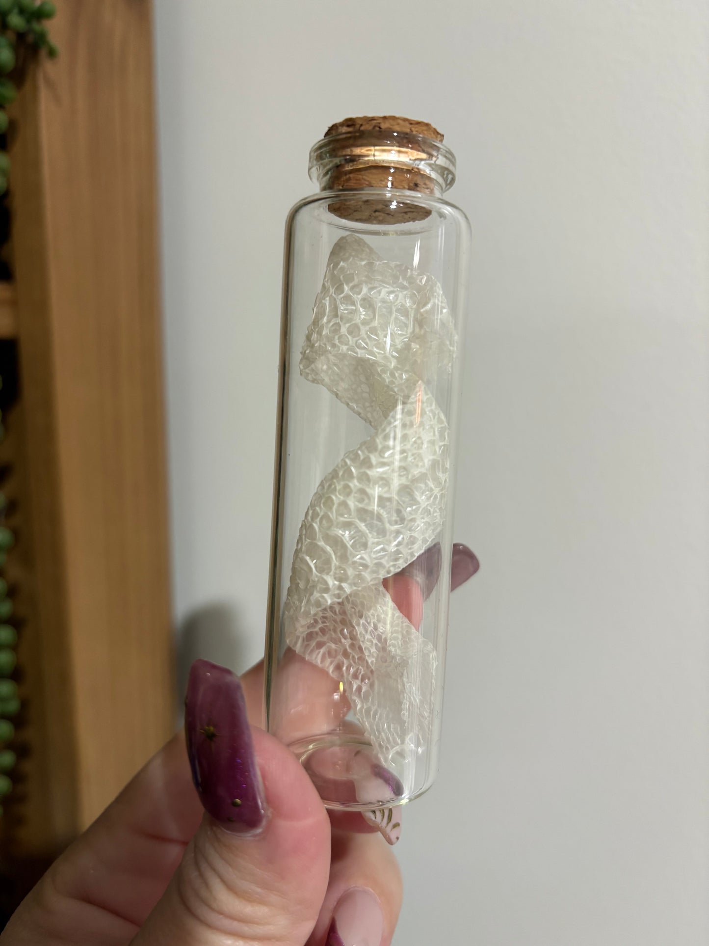 Snake Shed Jar