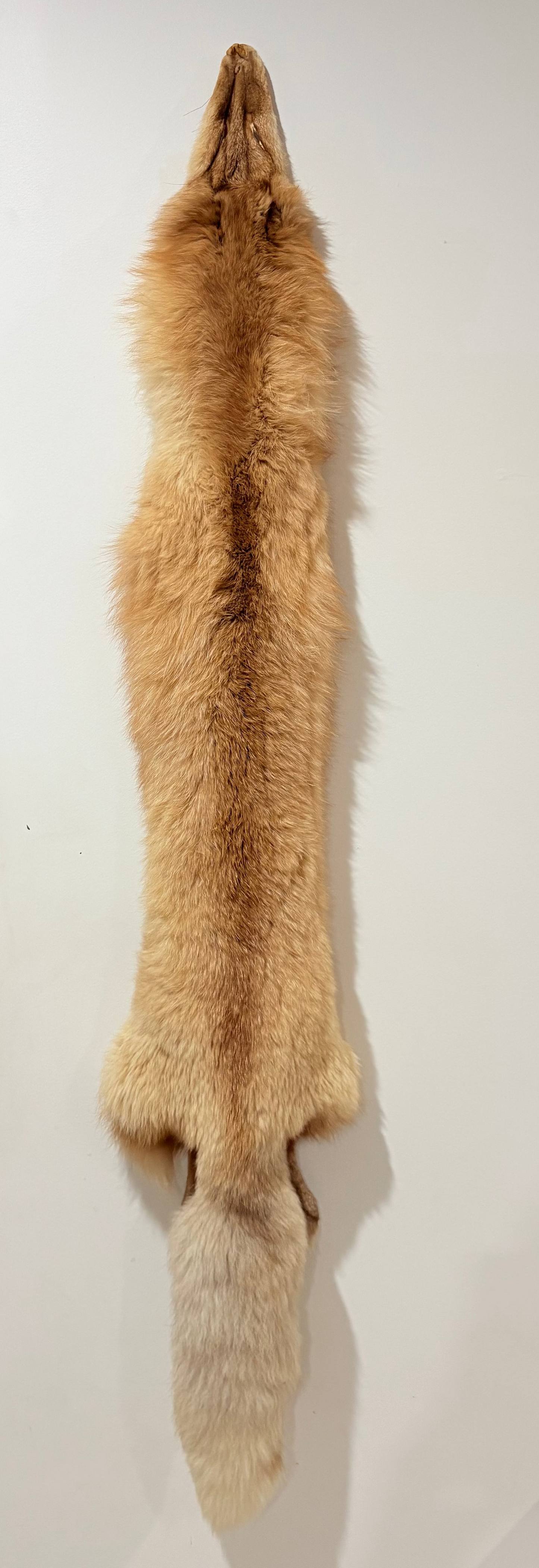 Fox Pelt