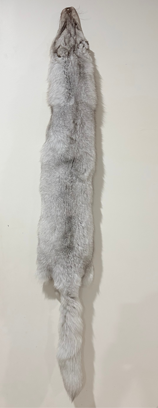 Fox Pelt