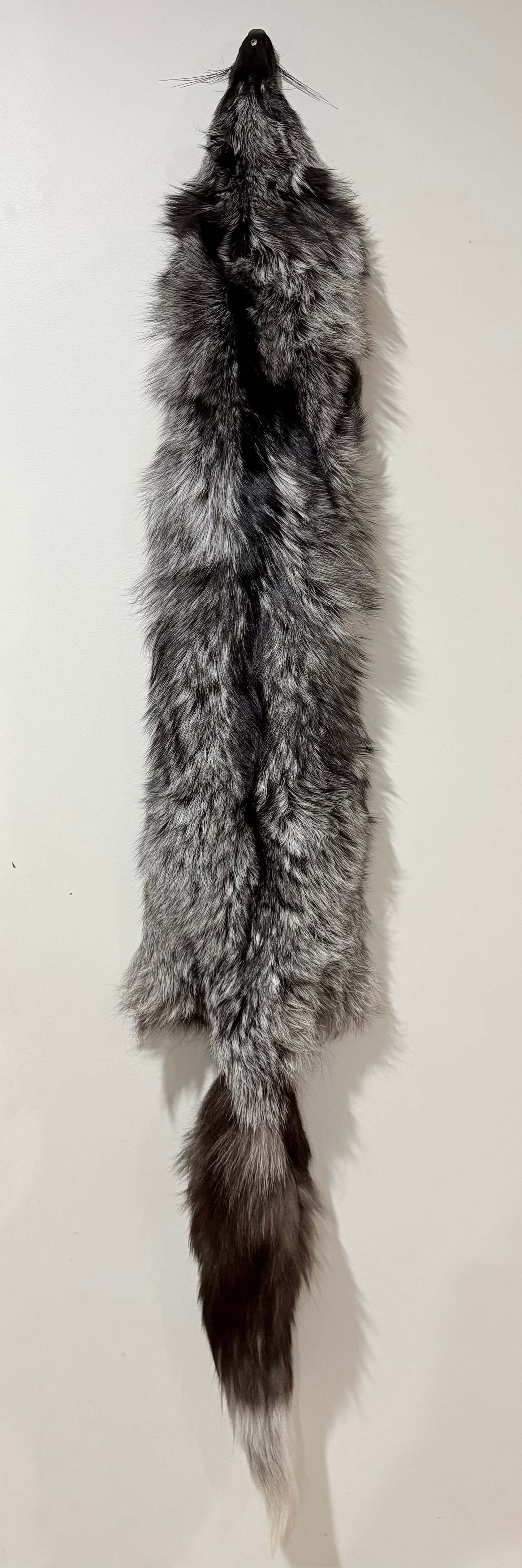 Fox Pelt