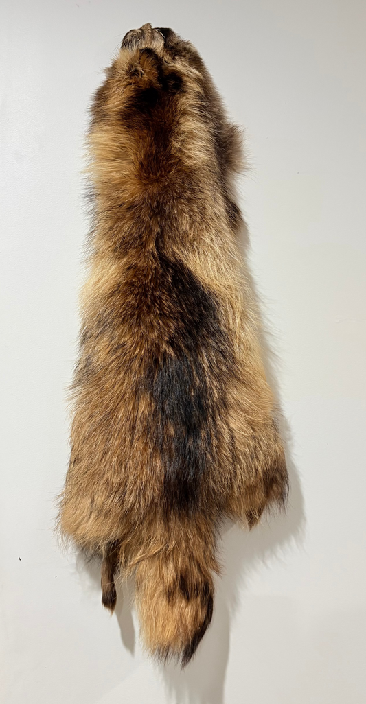 Tanuki Pelts