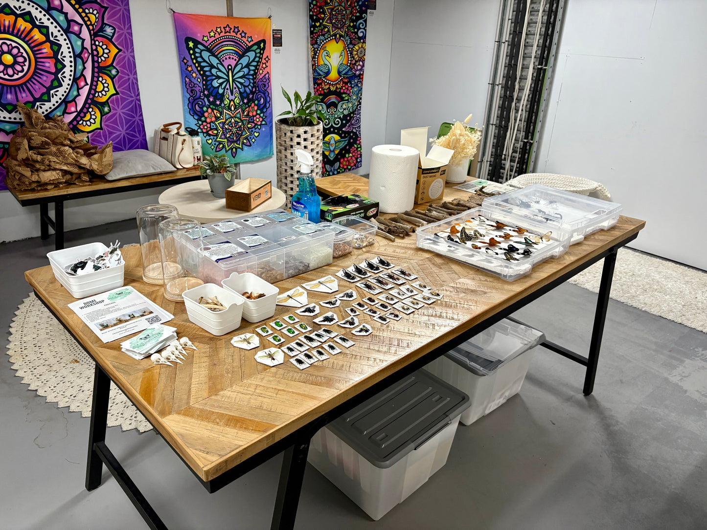 ✨ The Winged Wonderland Dome Display Workshop - Annerley ✨