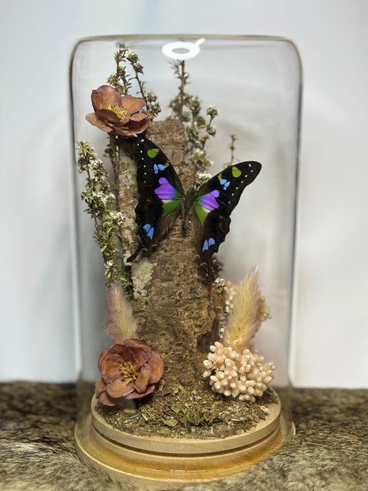 Large Dome Display Workshop - Virginia