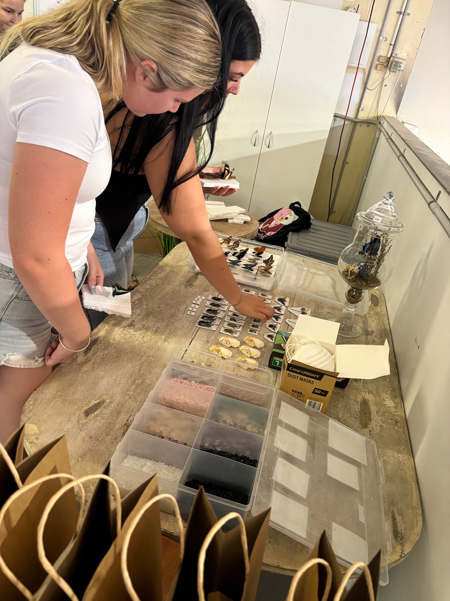 ✨ The Winged Wonderland Dome Display Workshop - Virginia ✨