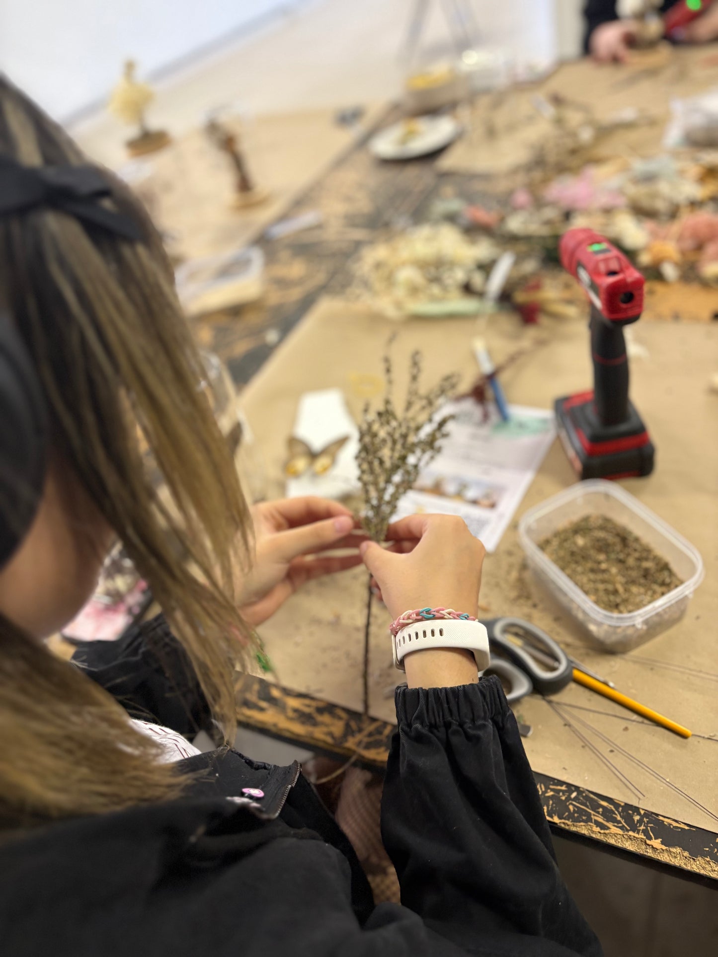 ✨ The Winged Wonderland Dome Display Workshop - Virginia ✨