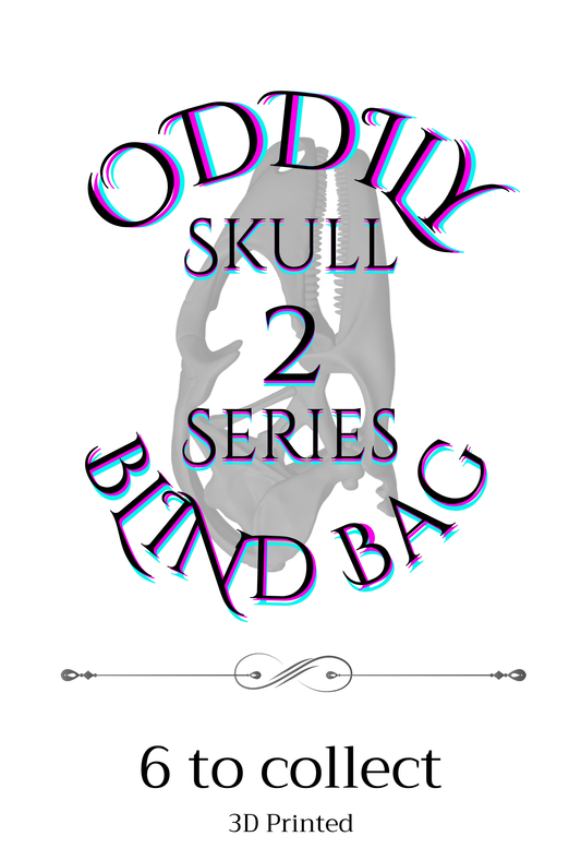 Oddily Blind Bag - Skull Series 2