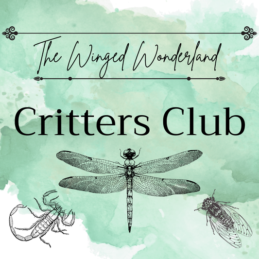 Critters Club Monthly Subscription