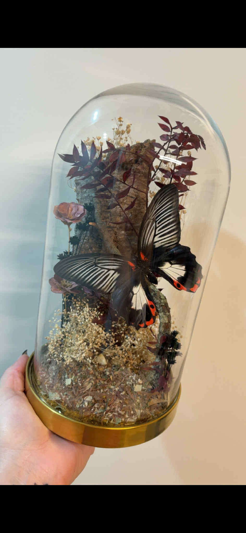 Extra Large Dome Display Workshop - Virginia